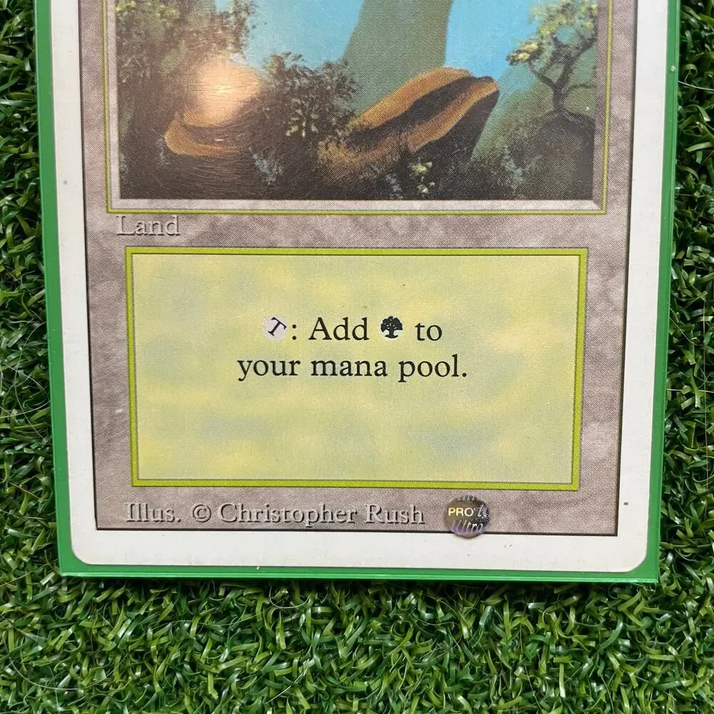 MTG Forest Vintage Basic Land Christopher Rush Art Magic Card LP